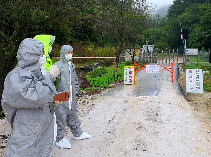 ▲아프리카돼지열병(ASF)가 발생한 강원 인제 돼지 농장. (연합뉴스)