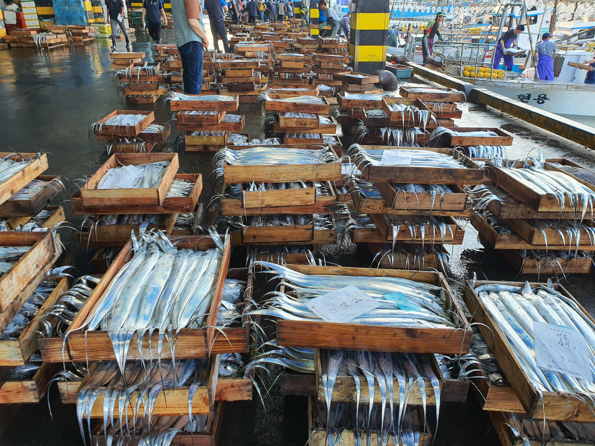 (사진제공=롯데쇼핑)