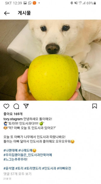 ▲윤석열 국민의힘 대선 경선 후보의 애견 인스타그램 '토리스타그램'에 게재된 사진. 지금은 삭제되고 없다. 