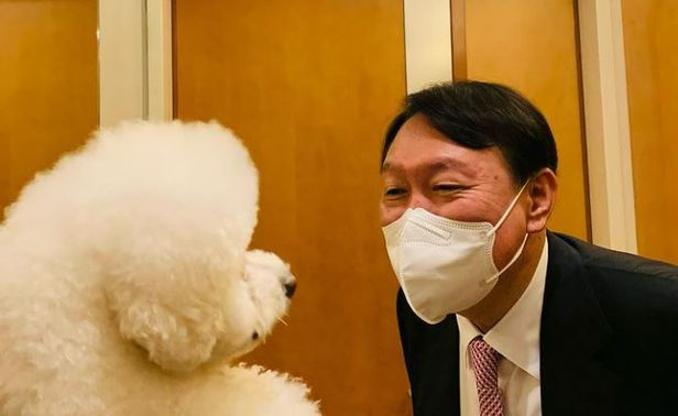 (윤석열 전 검찰총장의 반려견 인스타그램 계정 '토리스타그램')