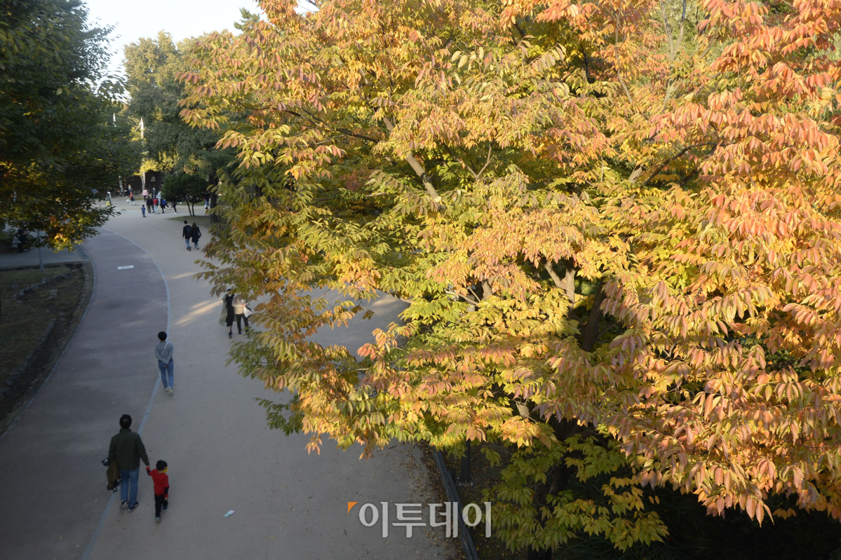 (조현호 기자 hyunho@)