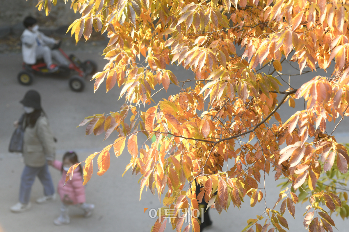 (조현호 기자 hyunho@)