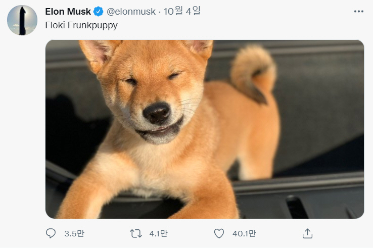 ▲(출처=일론 머스크 테슬라 CEO 트위터 캡처)