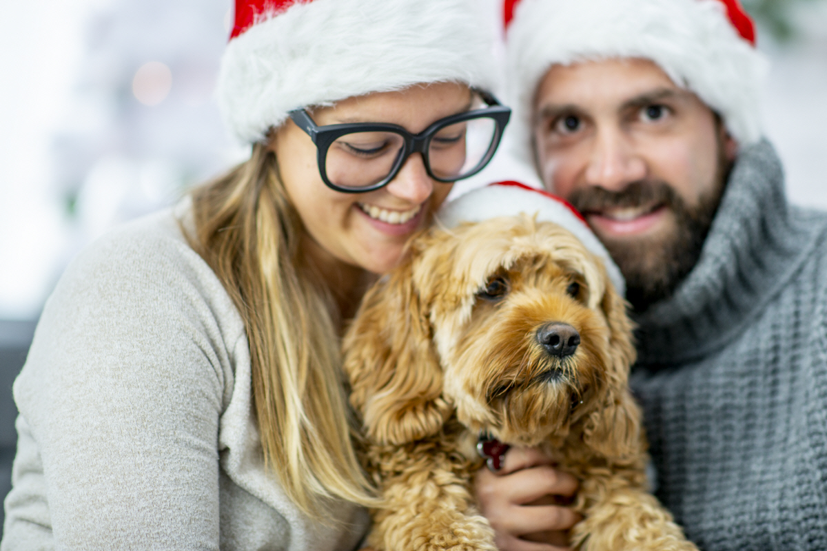 ▲(게티이미지뱅크) 기사와는 연관없음
