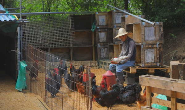 ▲'한국기행'(사진제공=EBS1)