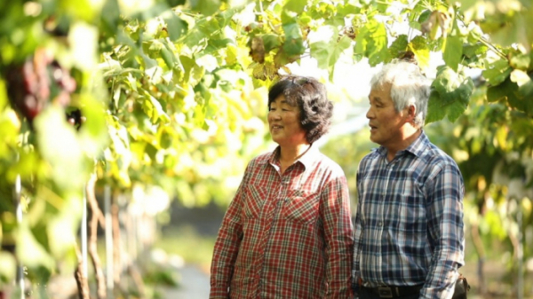 ▲'김영철의 동네 한 바퀴' 춘천(사진제공=KBS 1TV)