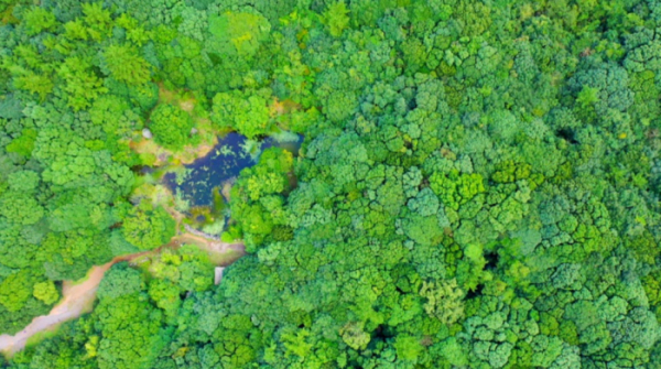 ▲'영상앨범 산'(사진제공=KBS 2TV)