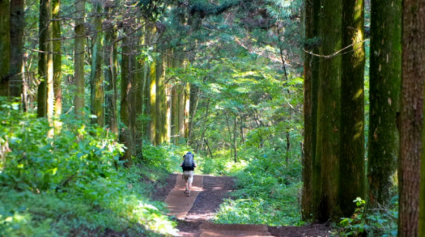 ▲'영상앨범 산'(사진제공=KBS 2TV)