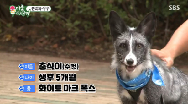 ▲'강철부대' 박도현 여우 춘식(사진=SBS 방송화면 캡처)