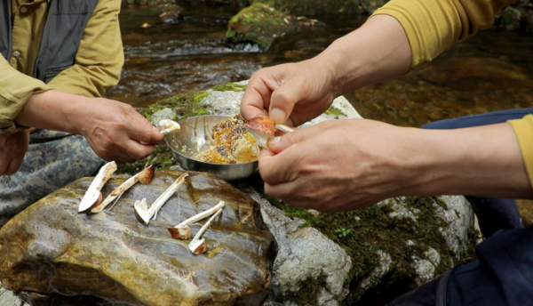 ▲'한국기행'(사진제공=EBS1)