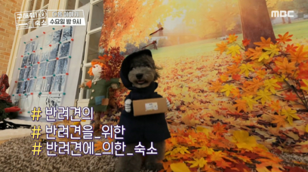▲구해줘 숙소(사진=MBC 방송화면 캡처)