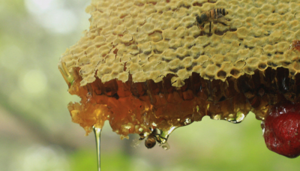 ▲'한국기행'(사진제공=EBS1)