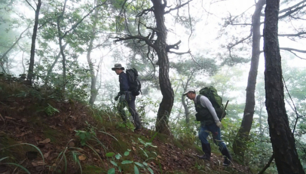 ▲'한국기행'(사진제공=EBS1)