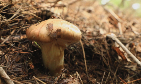 ▲'한국기행'(사진제공=EBS1)