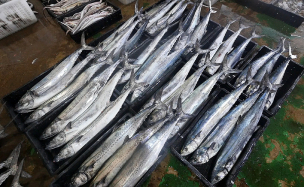 ▲'바닷가 사람들'(사진제공=EBS1)