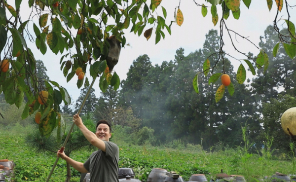 ▲'한국기행'(사진제공=EBS1)