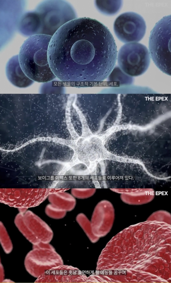 ▲'이펙스의 세포들'(사진 = C9엔터테인먼트 제공)