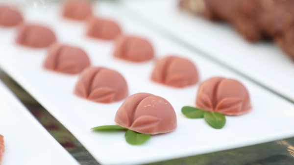 ▲'김영철의 동네 한 바퀴'(사진제공=KBS 1TV)