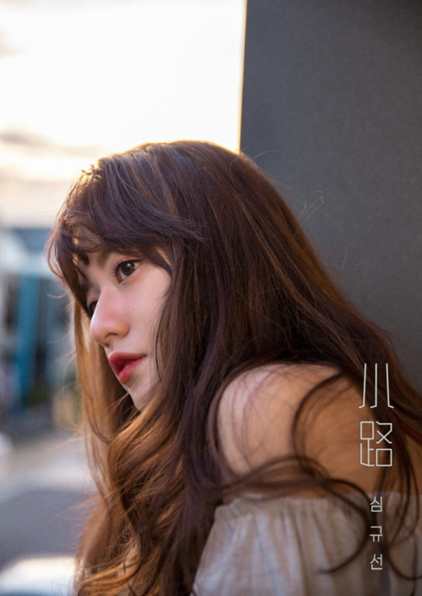 ▲심규선(사진 = 헤아릴揆 제공)