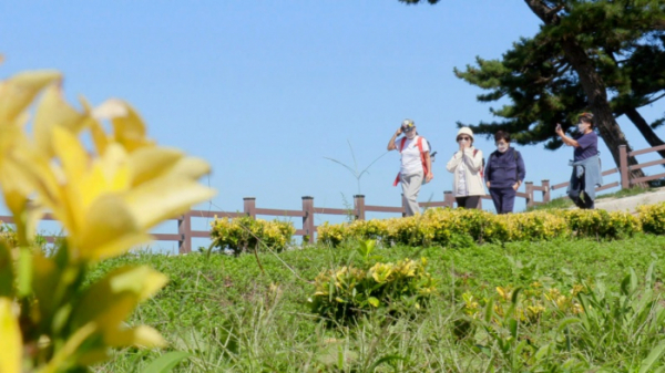 ▲'박원숙의 같이 삽시다'(사진제공=KBS 2TV)