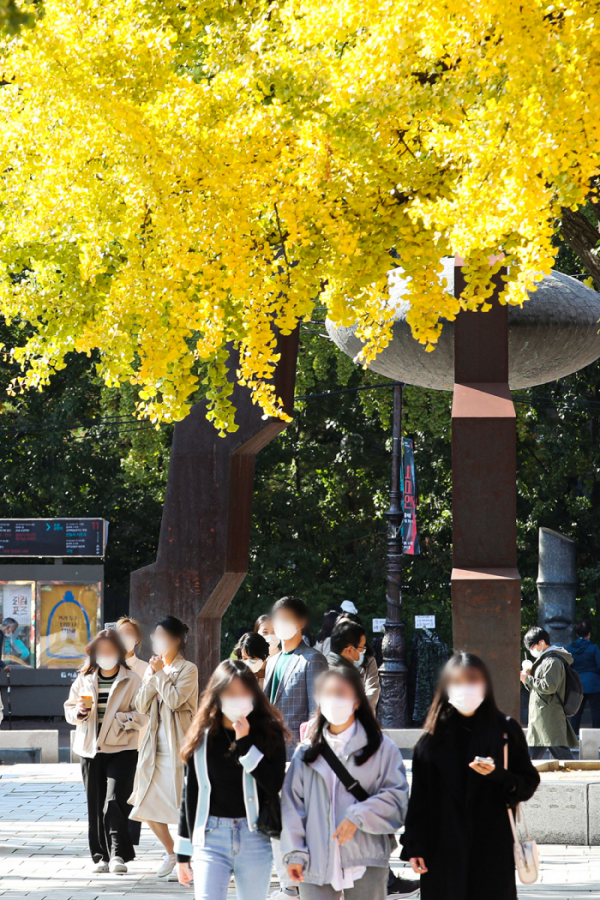 ▲완연한 가을 날씨를 보인 29일 오후 서울 종로구 마로니에 공원에서 시민들이 산책을 하고 있다.  (뉴시스)