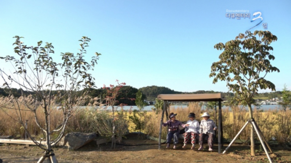 ▲'다큐3일' 예천 신풍리 미술관(사진제공=KBS)