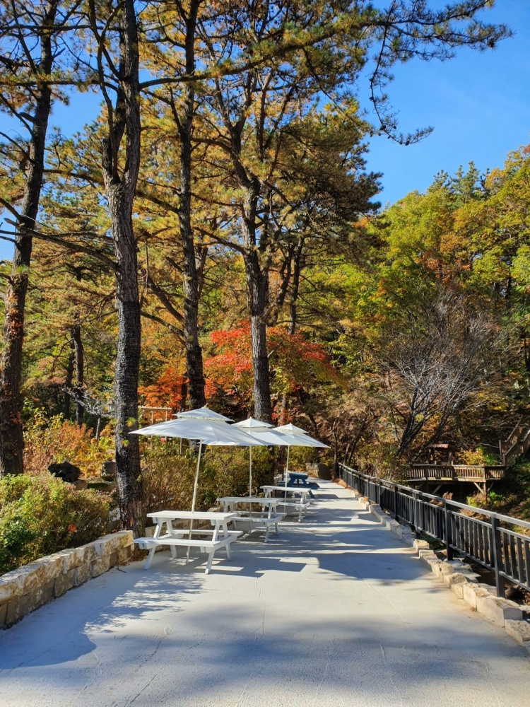 (출처=네이버 '달리온' 업체제공사진)