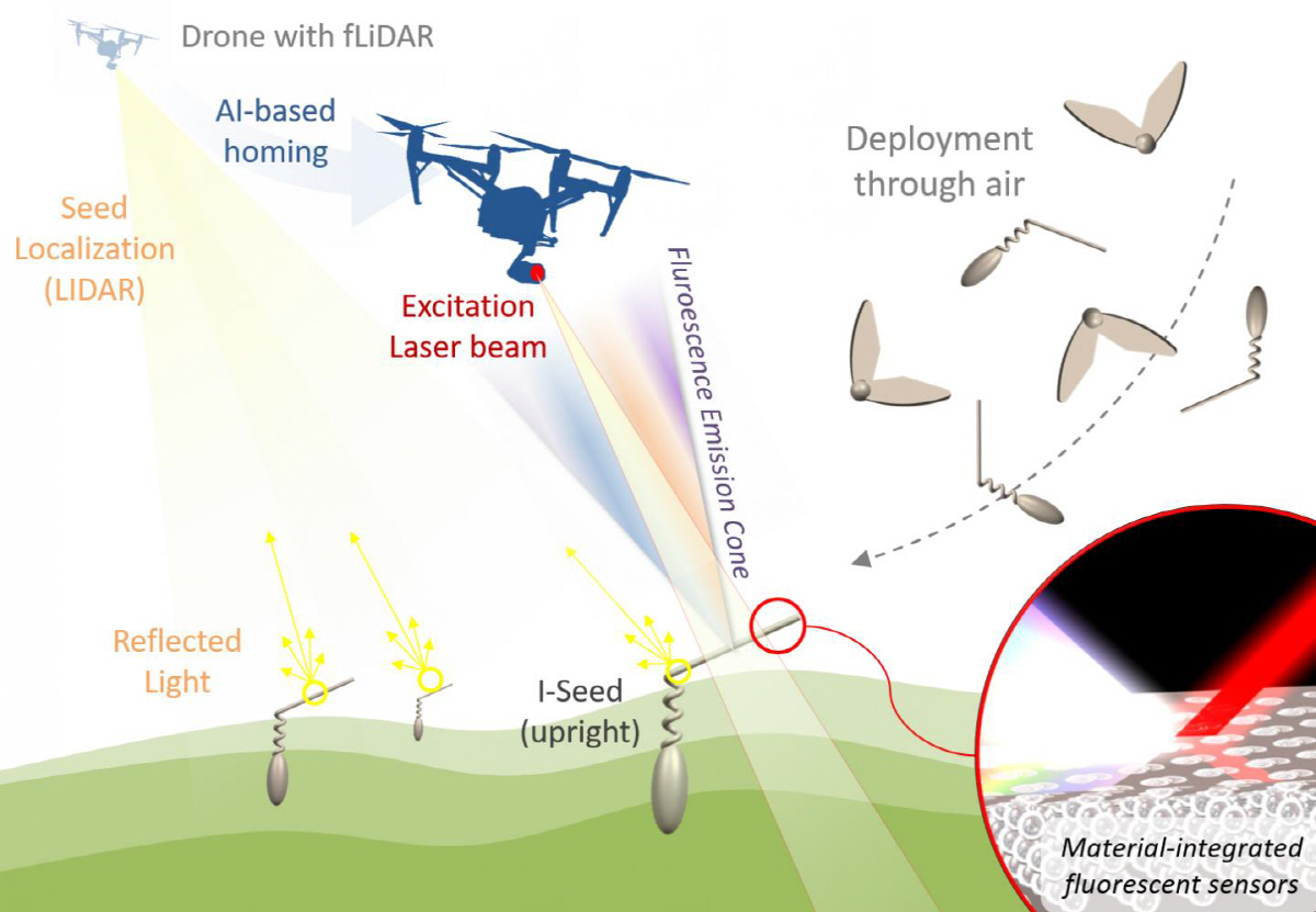 ▲생분해성 재료로 만들어진 I-Seed 로봇 프로젝트 조감도. 사진제공 이탈리아공과대학
