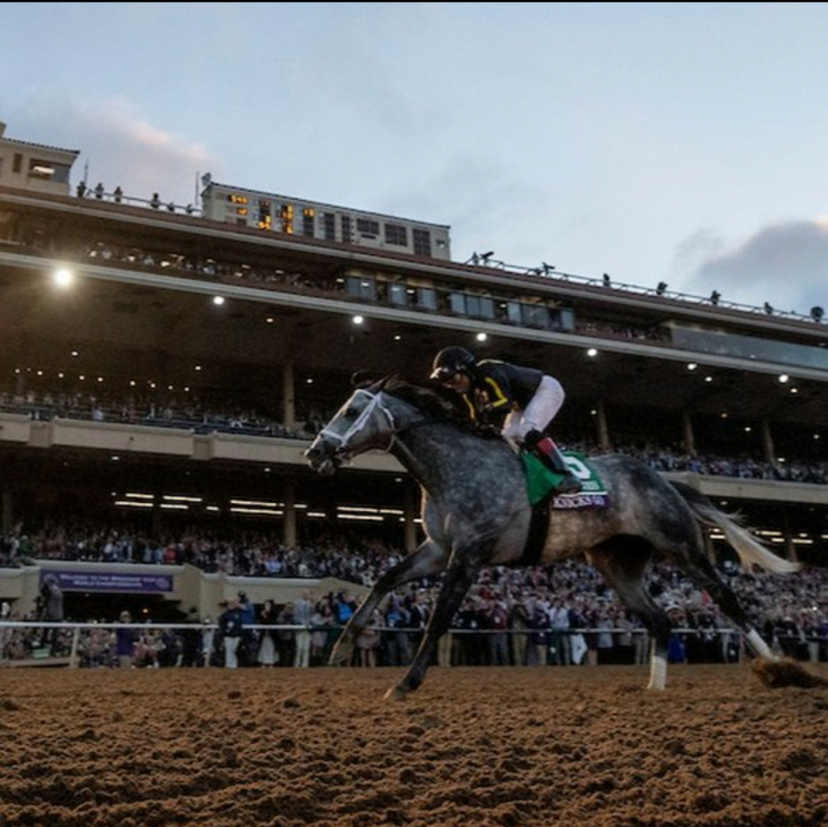 ▲한국마사회 경주마 '닉스고'가 미국 캘리포니아에서 열린 2021 브리더스컵 경마 클래식 경주에서 1위로 결승선을 통과하고 있다. (사진제공=한국마사회)