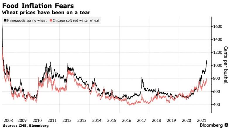 ▲밀 가격 추이. 단위 부셸당 센트. 출처 블룸버그