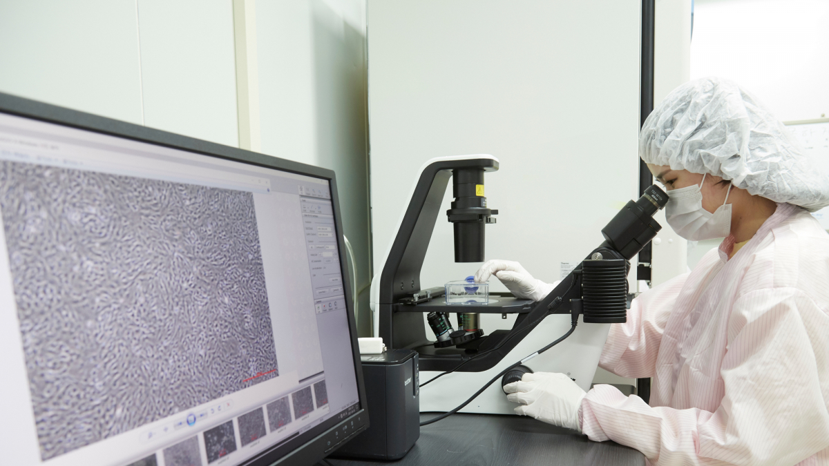 (사진제공=차바이오텍)