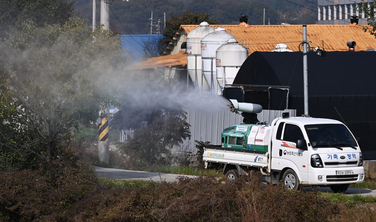 ▲용인시 처인구 청미천에서 용인축산농협 방역차량이 조류인플루엔자 방역활동을 하고 있다.  (뉴시스)