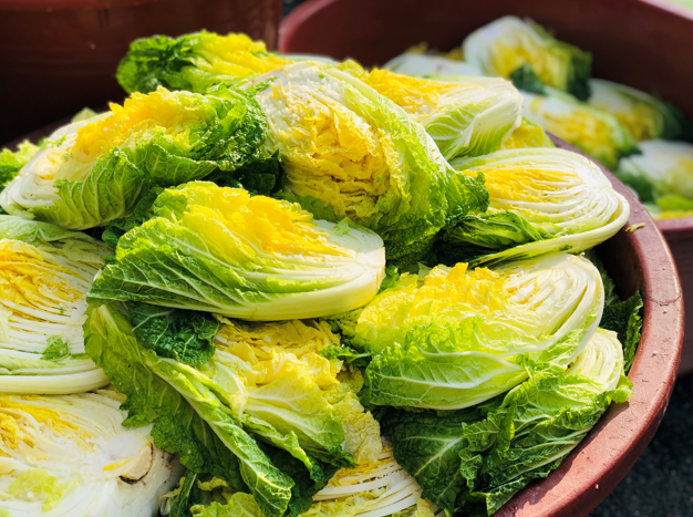 ▲김장배추  (한국물가정보)