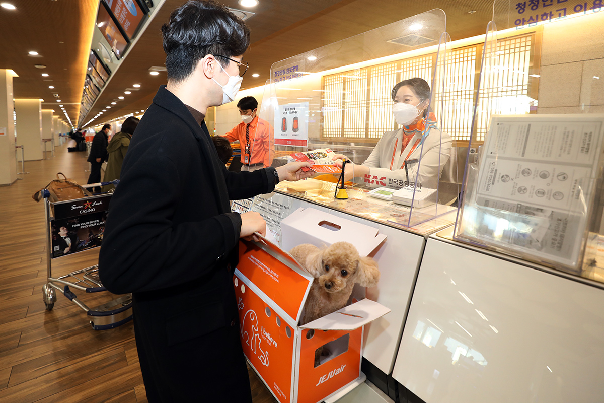 ▲제주항공이 반려동물 운송을 확대한다.  (사진제공=제주항공)