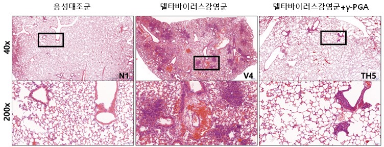 (사진제공=바이오리더스)