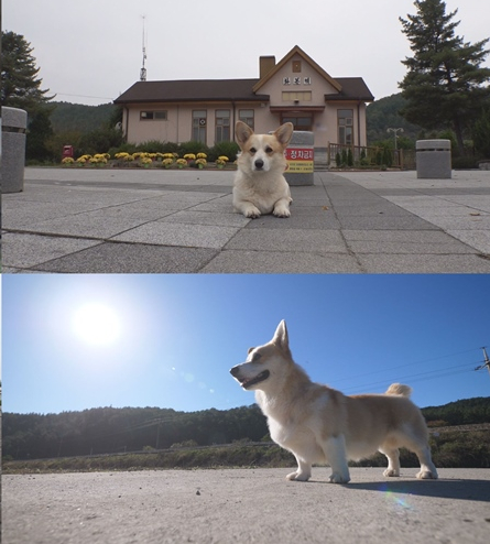 ▲'TV동물농장'(사진제공=SBS)