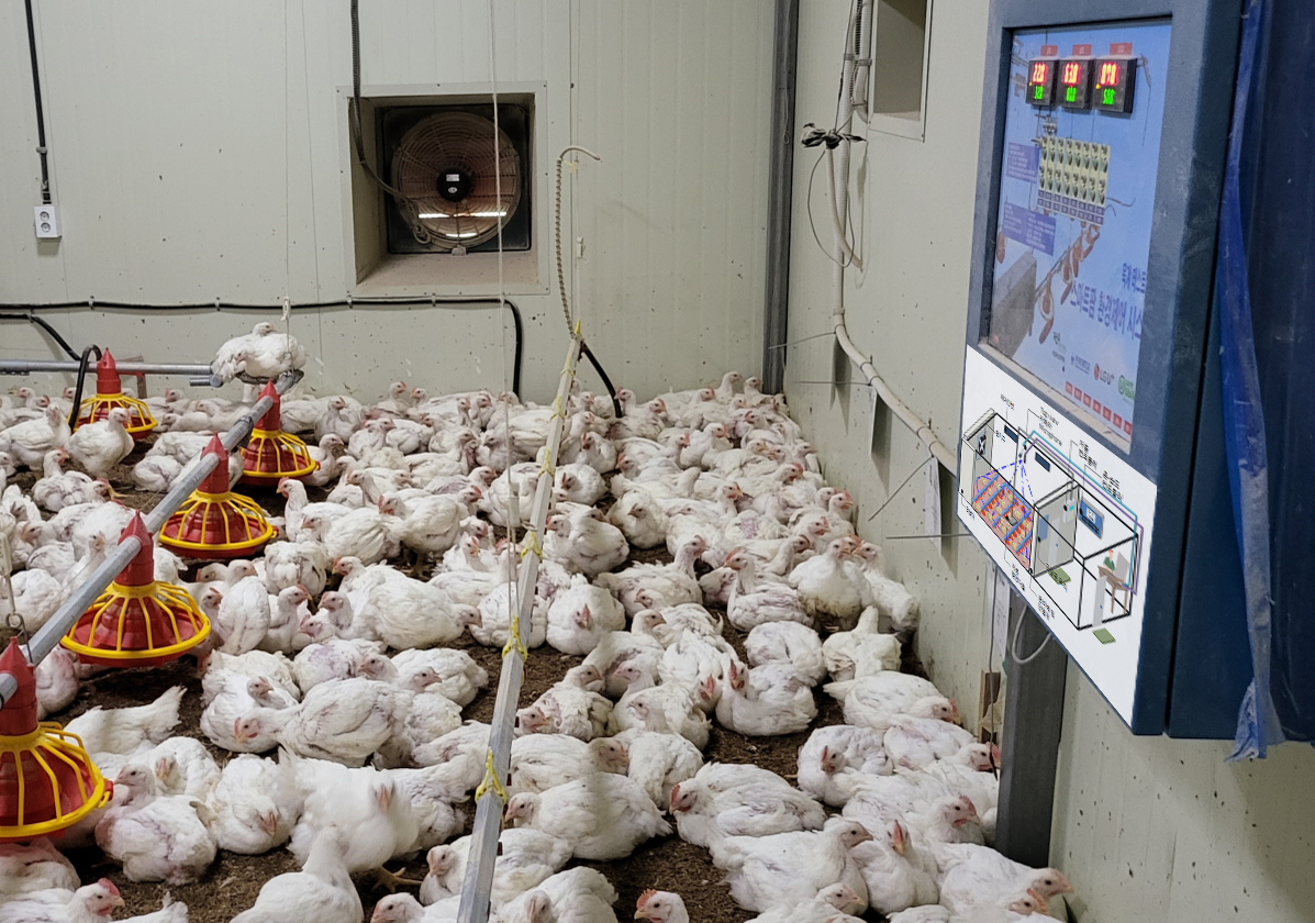 ▲LG유플러스는 국립축산원 가금연구소, 전북대학교와 함께 육계·산란계의 정밀모니터링·지능형사양관리 기술을 실증하는 사업을 시작한다고 28일 밝혔다. 국립축산과학원 가금연구소 내 스마트 양계 통합관제시스템 테스트베드에서 육계와 산란계를 사육하고 있다.  (사진제공=LG유플러스)