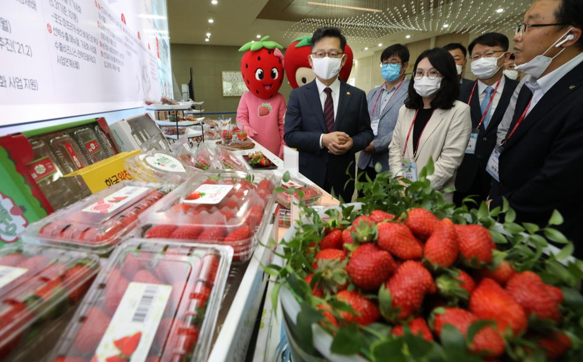 ▲김현수 농림축산식품부 장관이 10일 오후 정부세종컨벤션센터에서 열린 딸기 수출 혁신 전진대회에서 혁신 기술이 적용된 상품을 살펴보고 있다. (뉴시스)