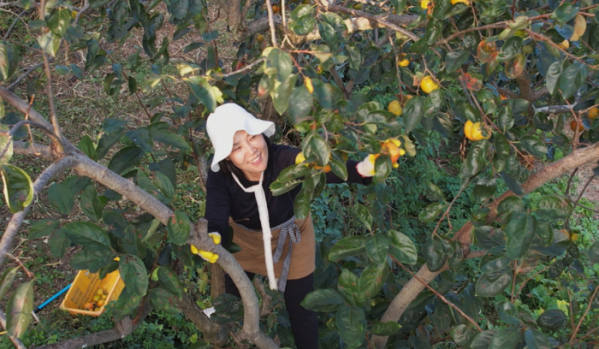 ▲'한국기행'(사진제공=EBS1)