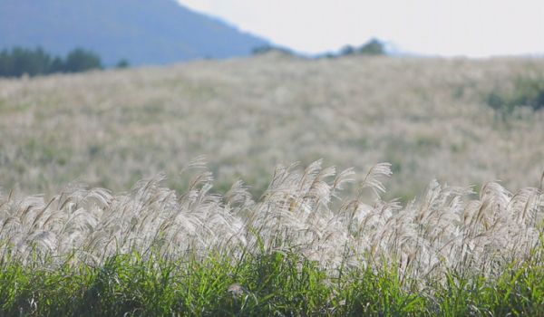 ▲'한국기행'(사진제공=EBS1)