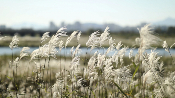 ▲'김영철의 동네 한 바퀴'(사진제공=KBS 1TV)