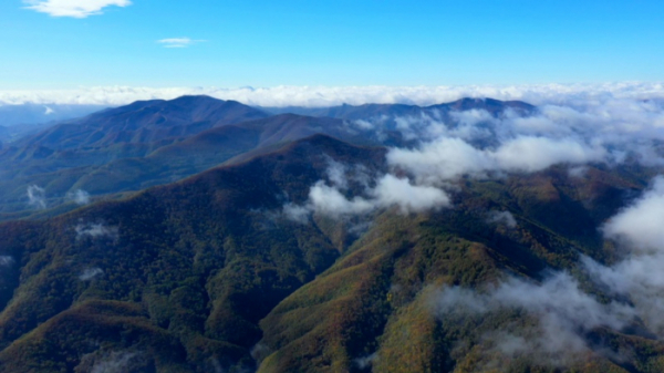 ▲'영상앨범 산'(사진제공=KBS 2TV)