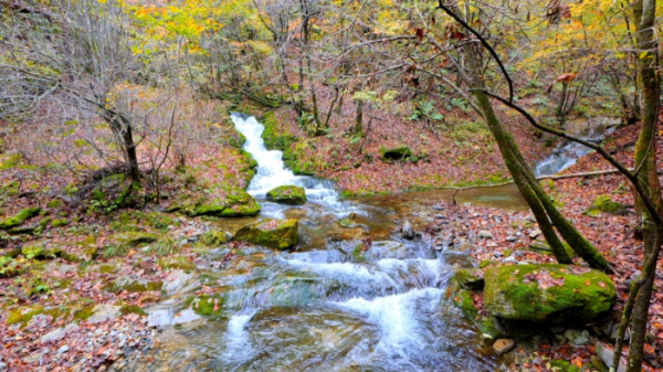 ▲'영상앨범 산'(사진제공=KBS 2TV)