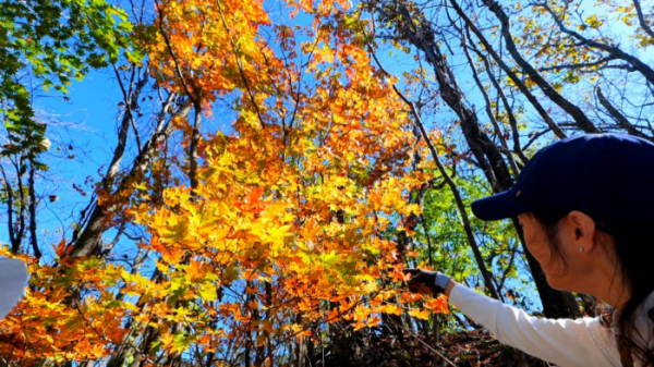 ▲'영상앨범 산'(사진제공=KBS 2TV)