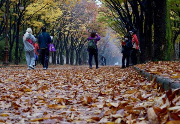 ▲4일 인천 남동구 인천대공원에 색색으로 물든 단풍과 떨어진 낙엽이 깊어가는 가을의 정취를 전하고 있다. 신태현 기자 holjjak@ (이투데이DB)