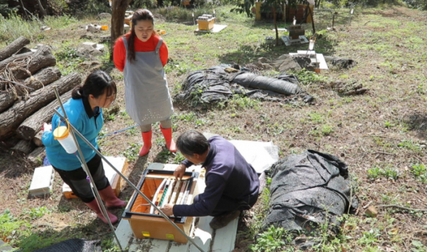 ▲'한국기행'(사진제공=EBS1)