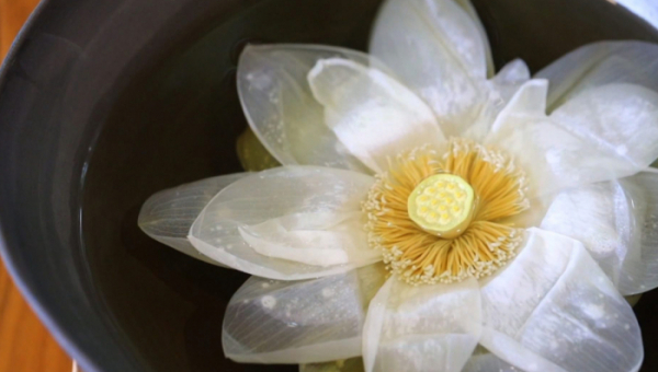 ▲‘관찰카메라 24’ (사진제공=채널A)