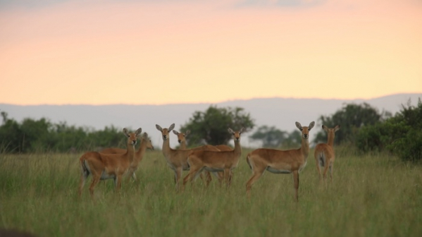 ▲'걸어서 세계속으로'(사진제공=KBS 1TV)