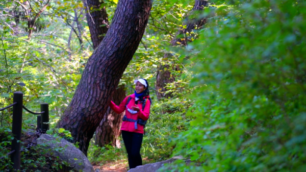 ▲'영상앨범 산' 가야산 국립공원(사진제공=KBS 2TV)