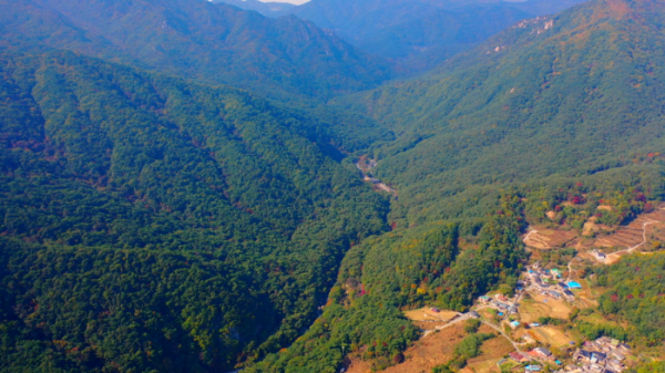 ▲'영상앨범 산' 가야산 국립공원(사진제공=KBS 2TV)